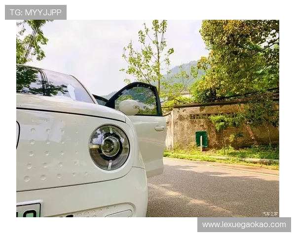 凯发体育注册流程中的注意事项及常见错误避免指南