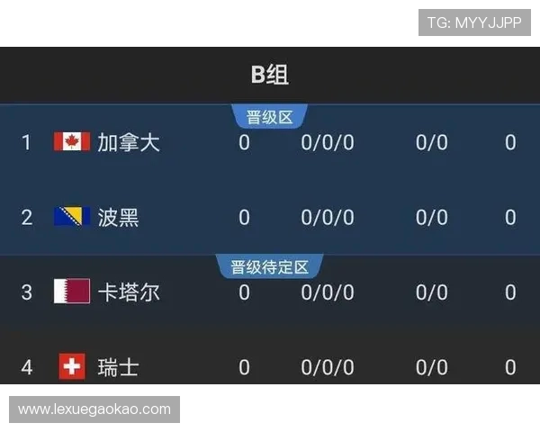 世界杯出线形势中文指南：结合历史数据和当前表现，预测南美洲球队晋级概率与竞争格局